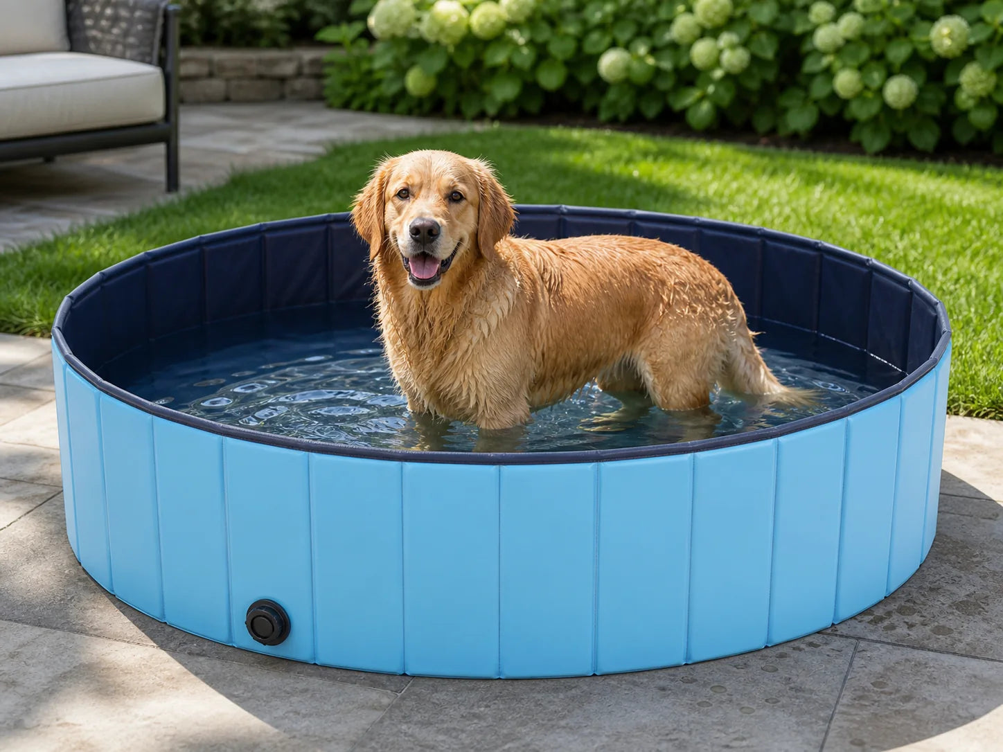 Foldable dog pool set outside for a pet